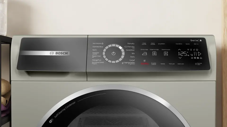 Bosch Serie 8 Isı Pompalı Kurutma Makinesi 9 kg Gümüş WQB245AXTR